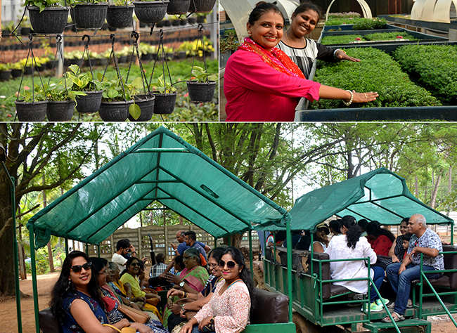 AgriTour, Agritourism, farms to visit in bangalore, farms for kids, farm holidays near bangalore, weekend farming, Big Banayan Tree Farm, Farms in Bangalore, Weekend Farm visit in Bangalore, school field trip